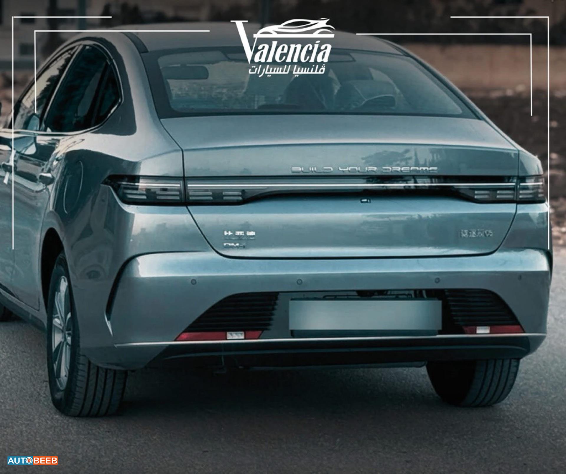 BYD Destroyer 05 2025