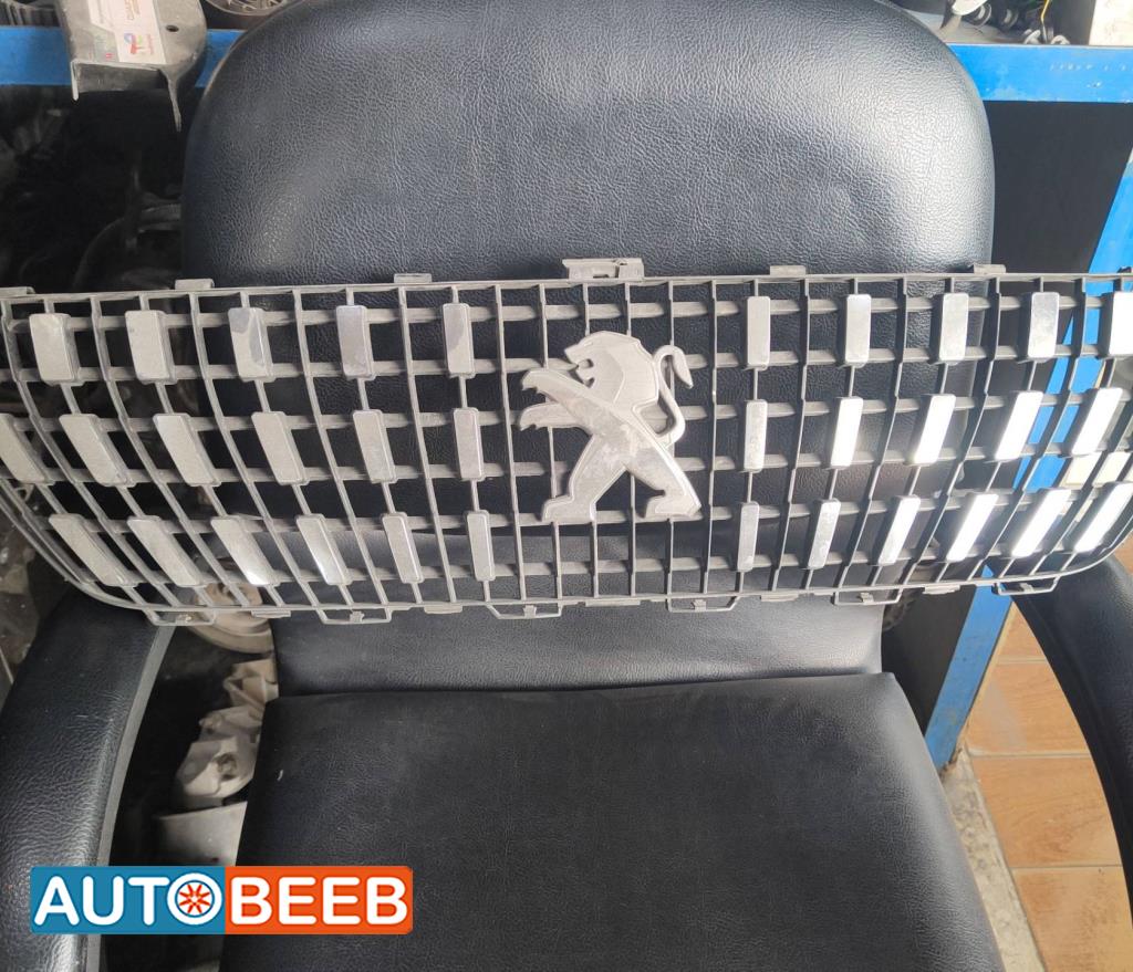 Body  Grilles Peugeot 3008
