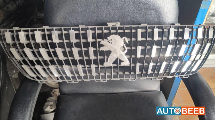 Body  Grilles Peugeot 3008