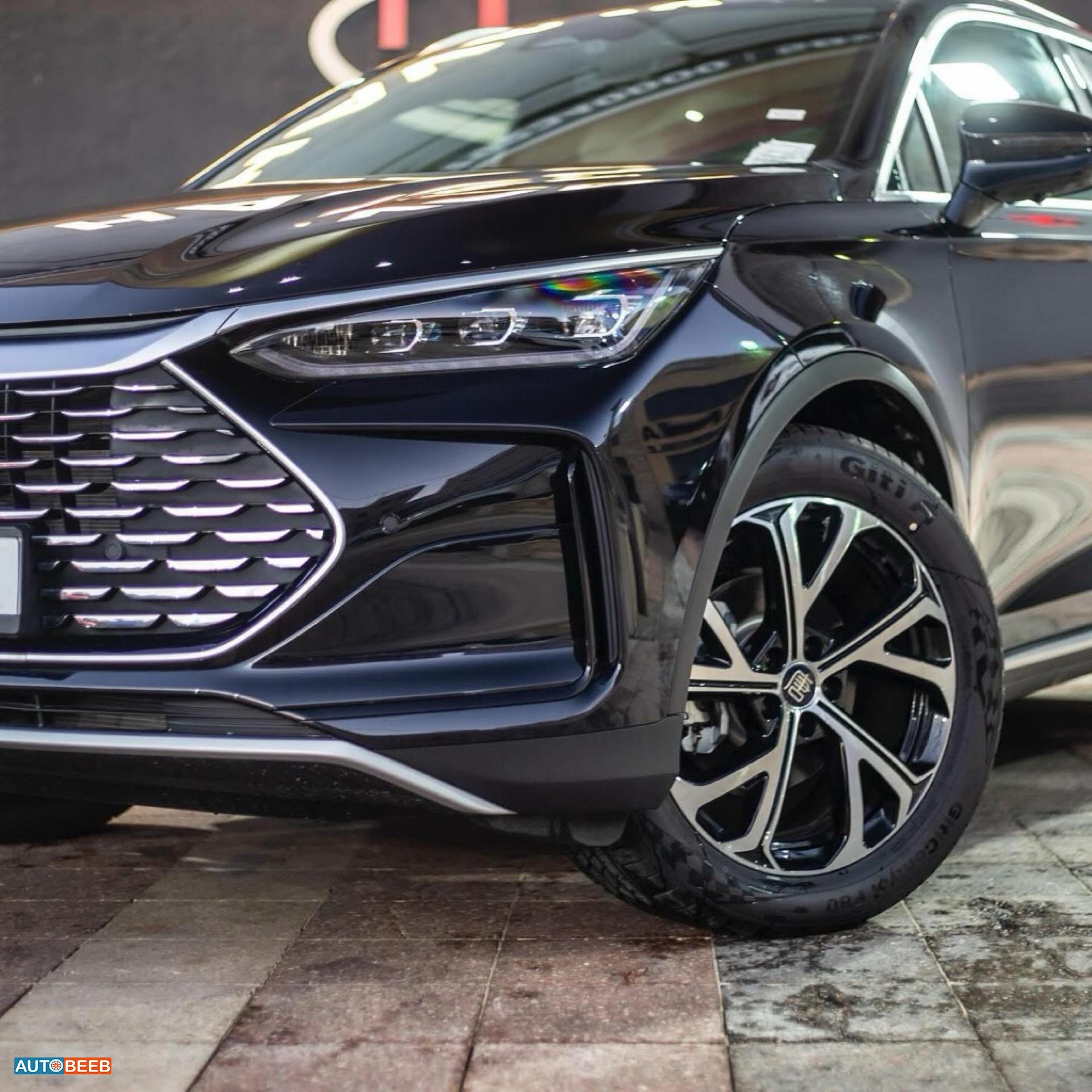 بي واي دي تانج 2024