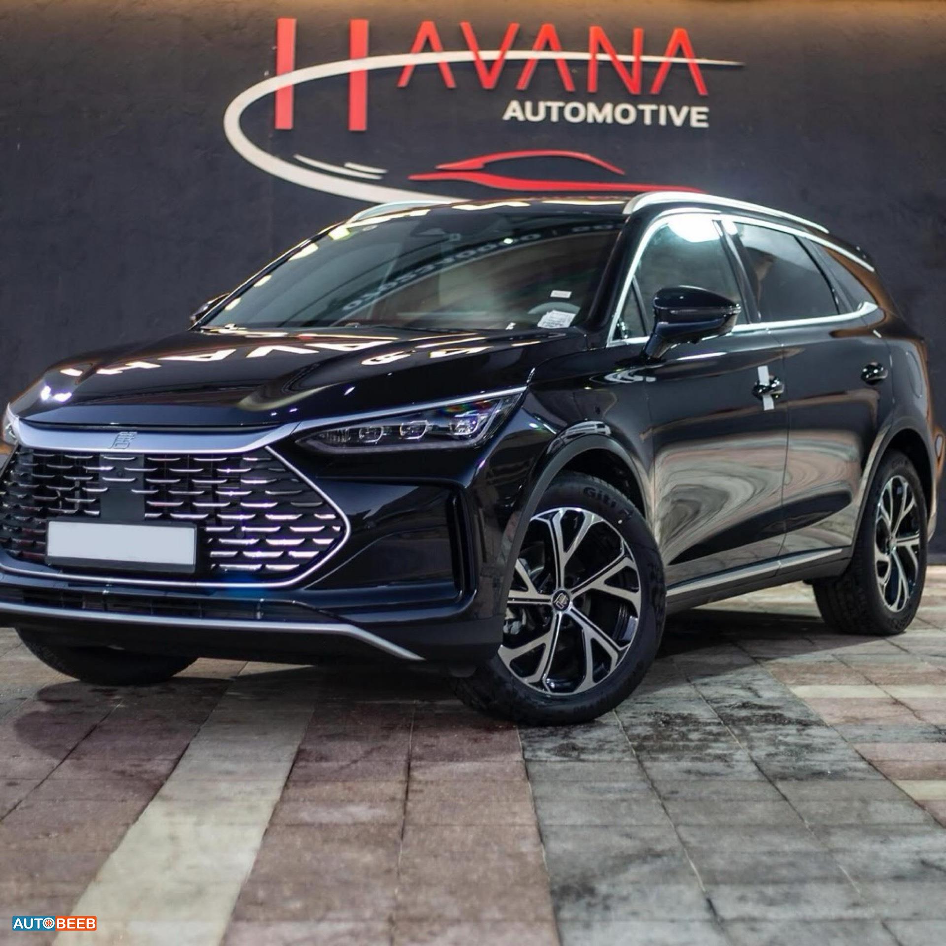 بي واي دي تانج 2024