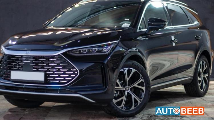 بي واي دي تانج 2024