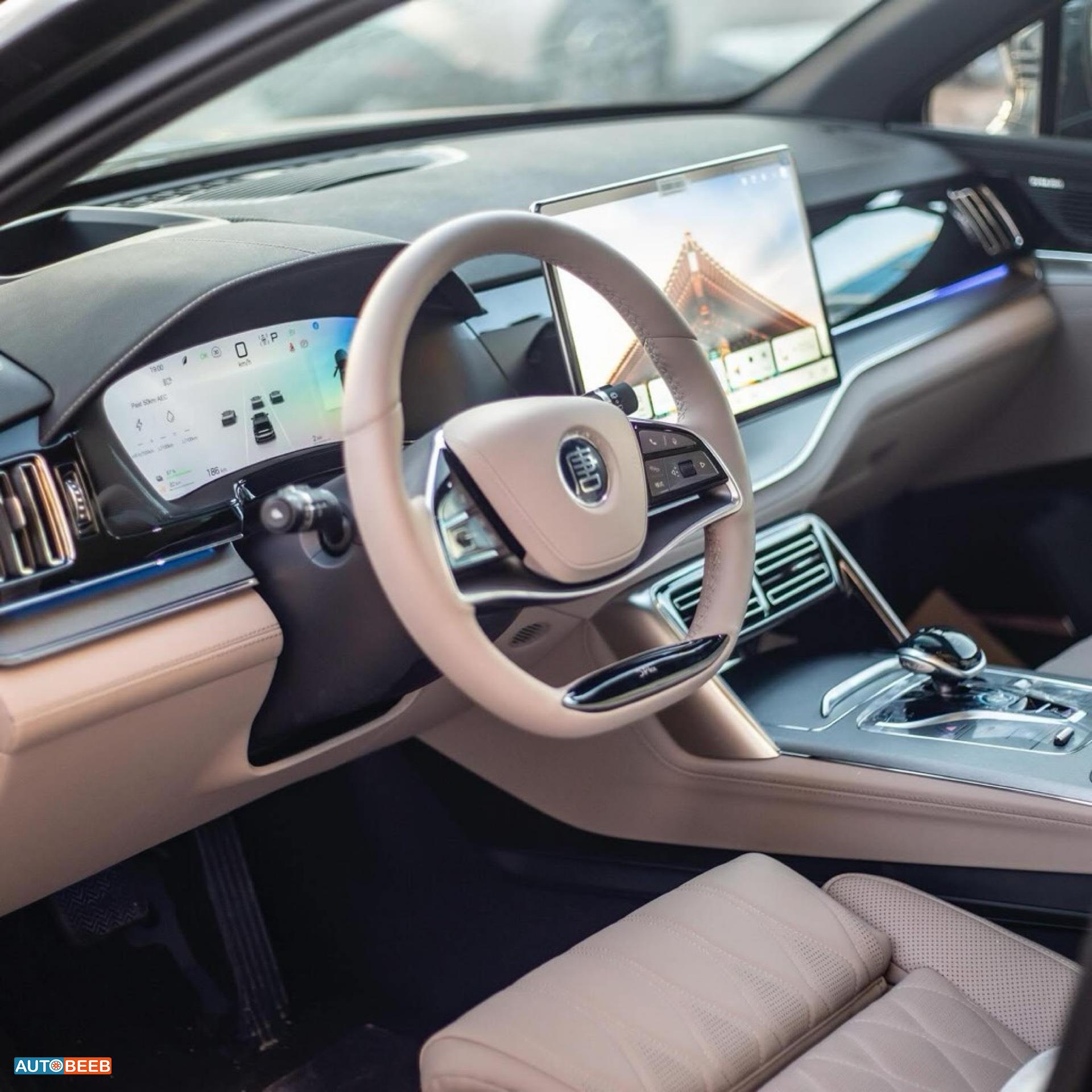 بي واي دي تانج 2024