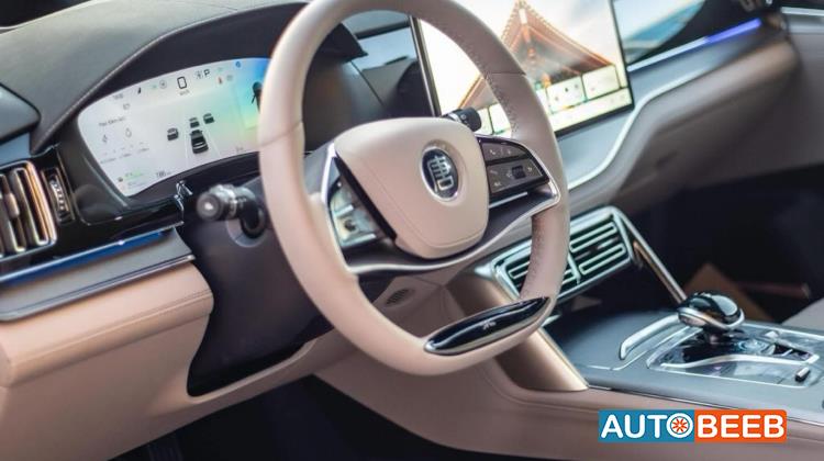 بي واي دي تانج 2024