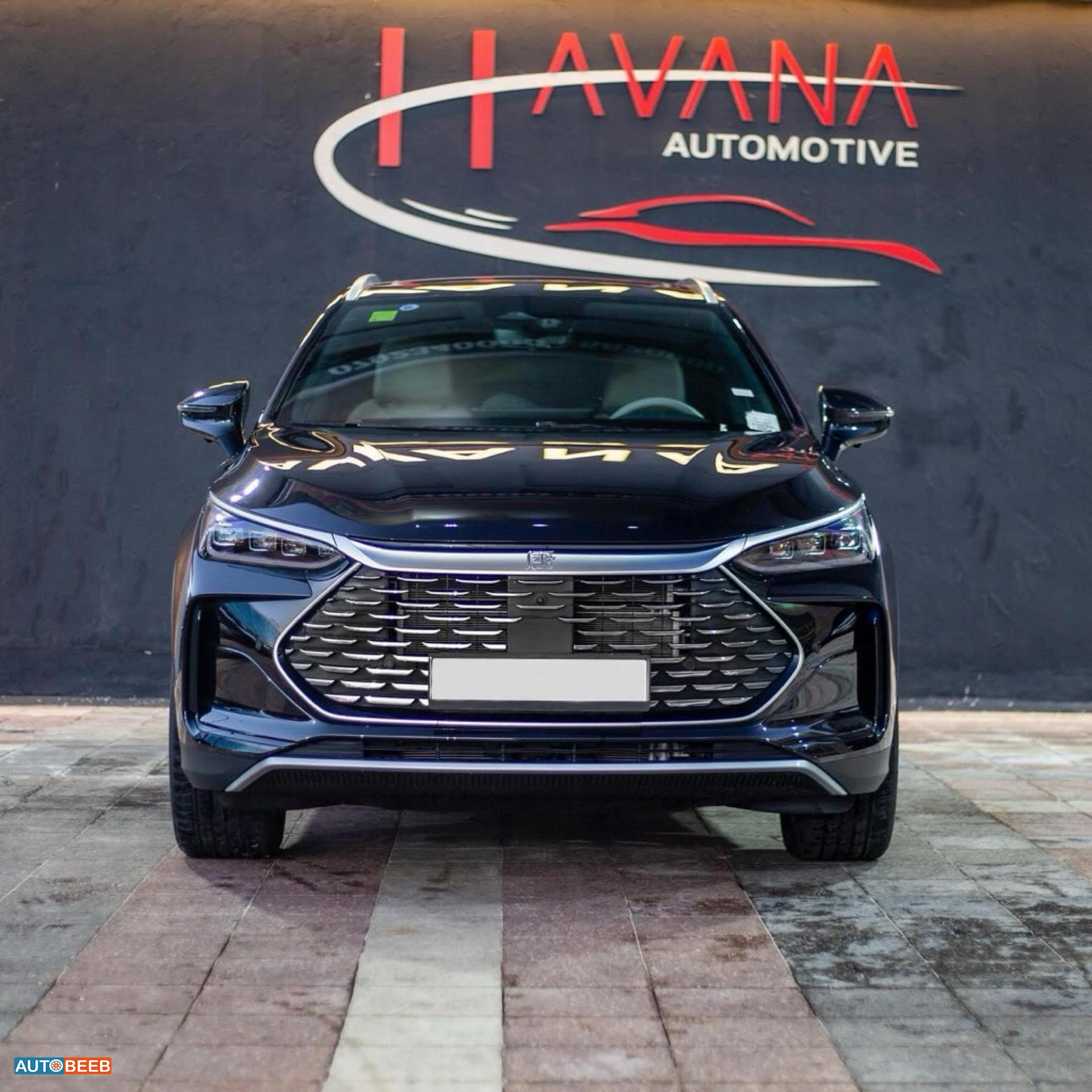 بي واي دي تانج 2024