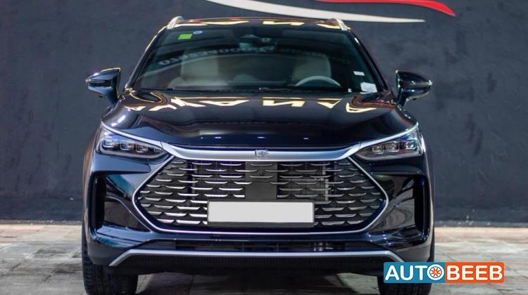 بي واي دي تانج 2024