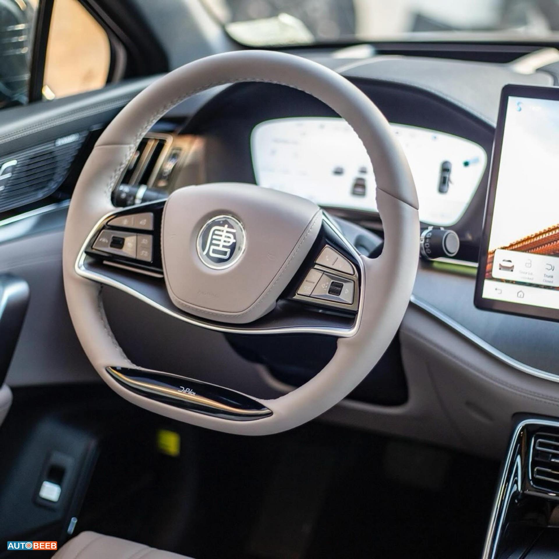 بي واي دي تانج 2024