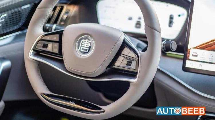 بي واي دي تانج 2024