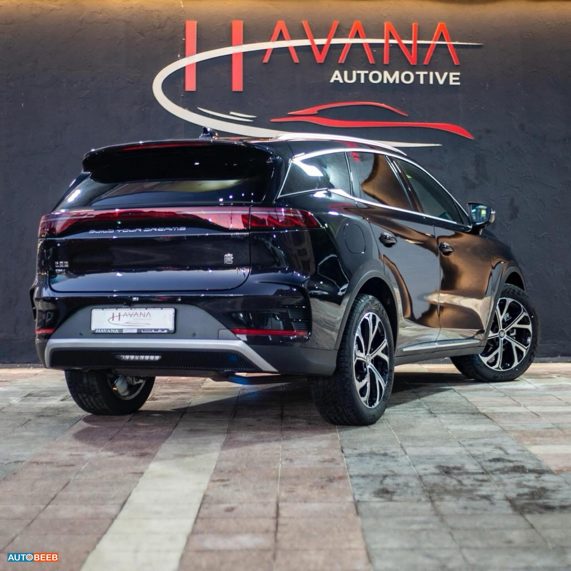 بي واي دي تانج 2024