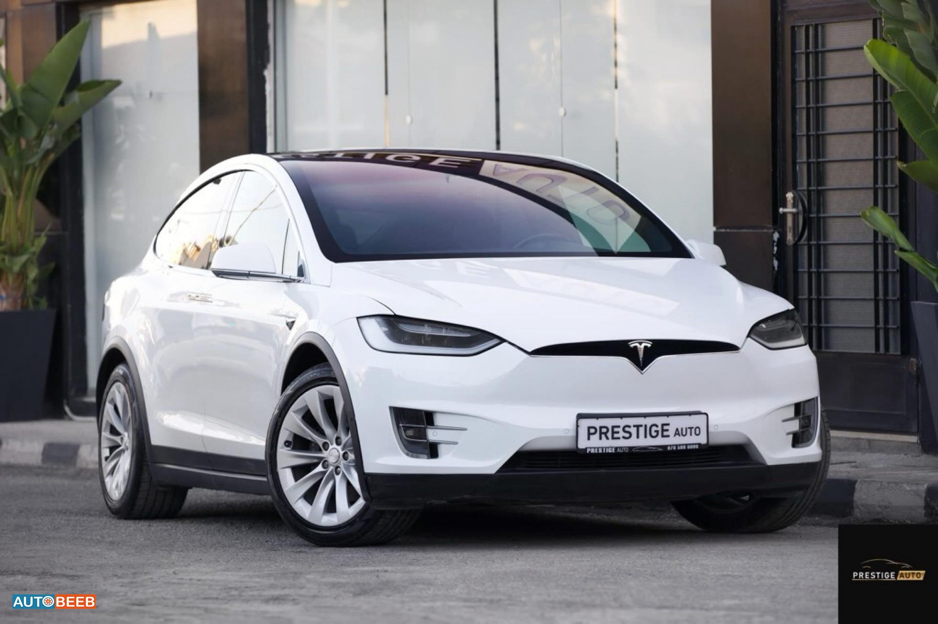 Tesla X 2017