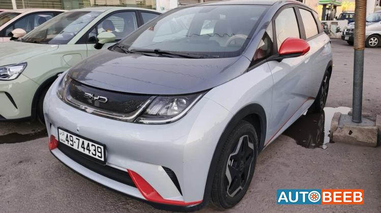 BYD Dolphin 2022