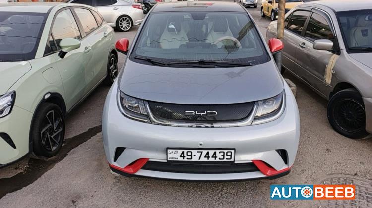BYD Dolphin 2022