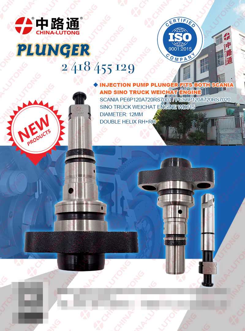 Pump Element Plunger and Barrel 2455-129 2418455129 369341 for SCANIA