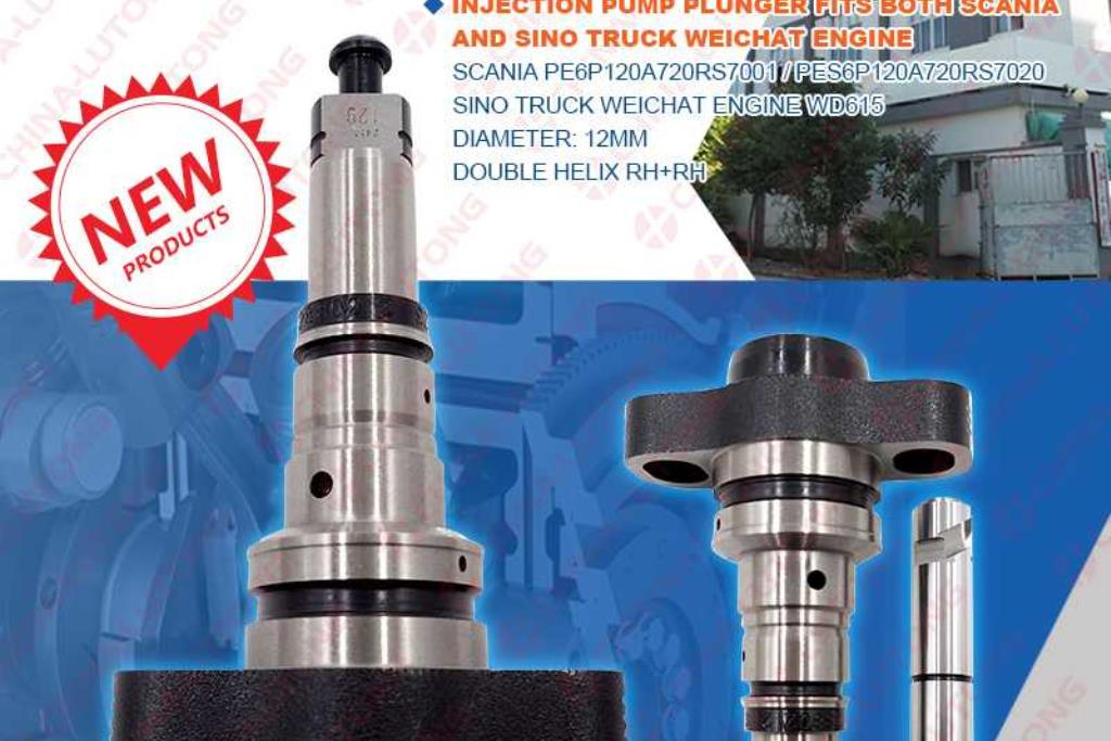 Pump Element Plunger and Barrel 2455-129 2418455129 369341 for SCANIA