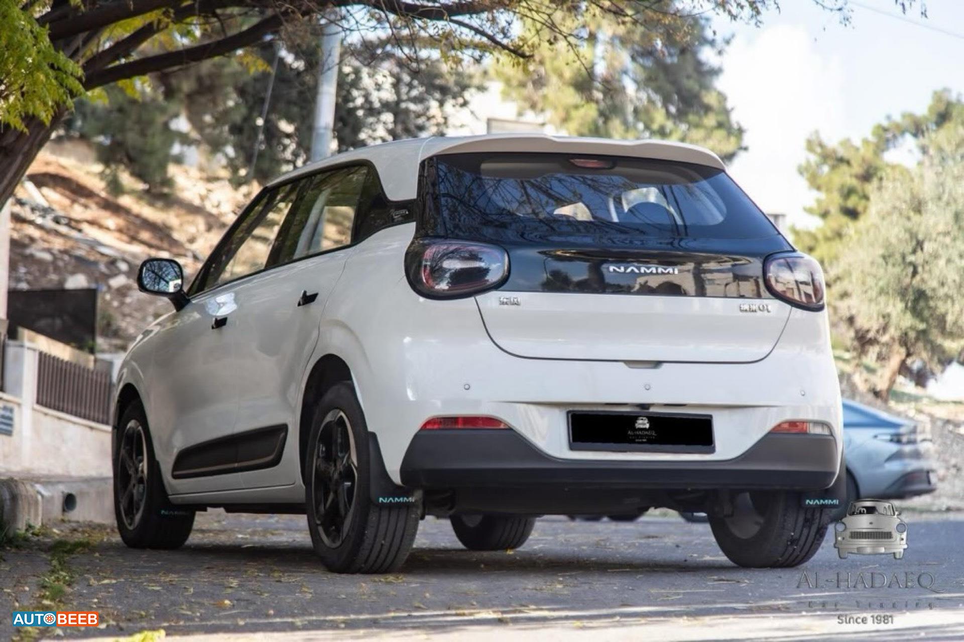 Dongfeng Nammi Box 2023