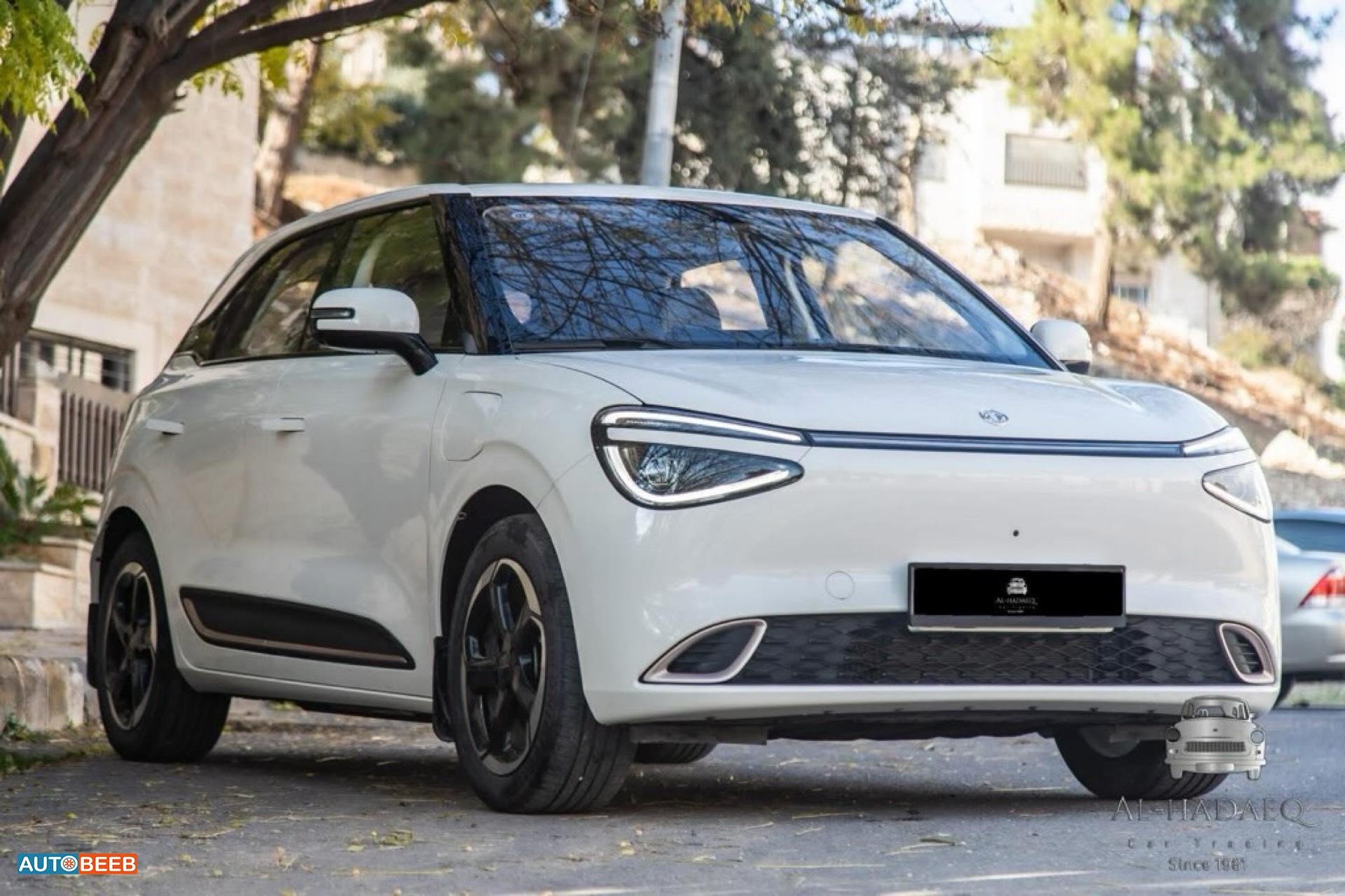 Dongfeng Nammi Box 2023