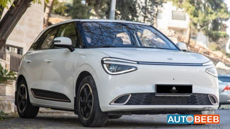 Dongfeng Nammi Box 2023