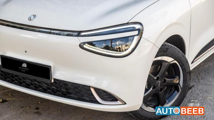 Dongfeng Nammi Box 2023