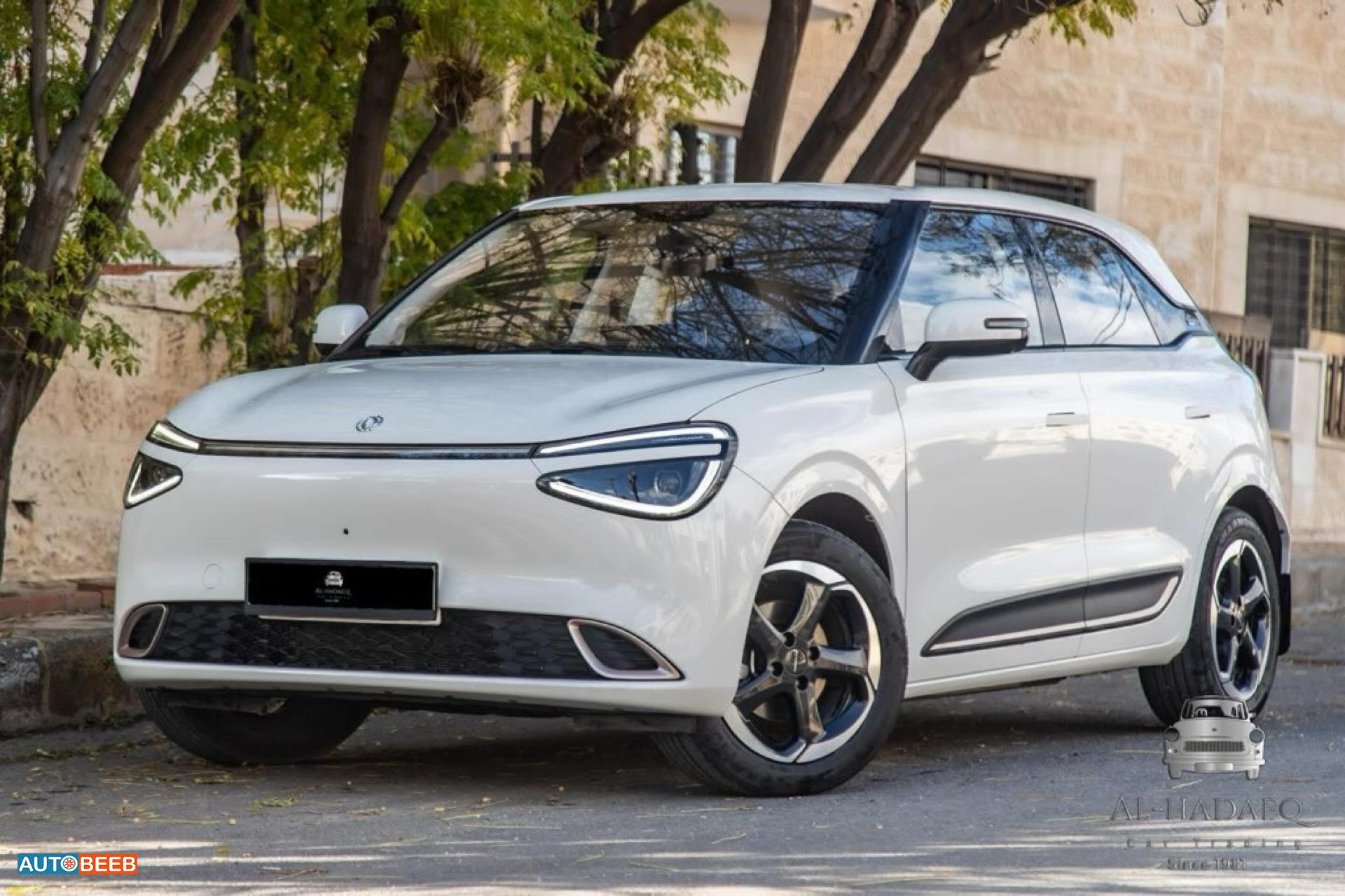 Dongfeng Nammi Box 2023