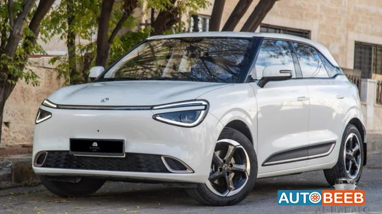 Dongfeng Nammi Box 2023