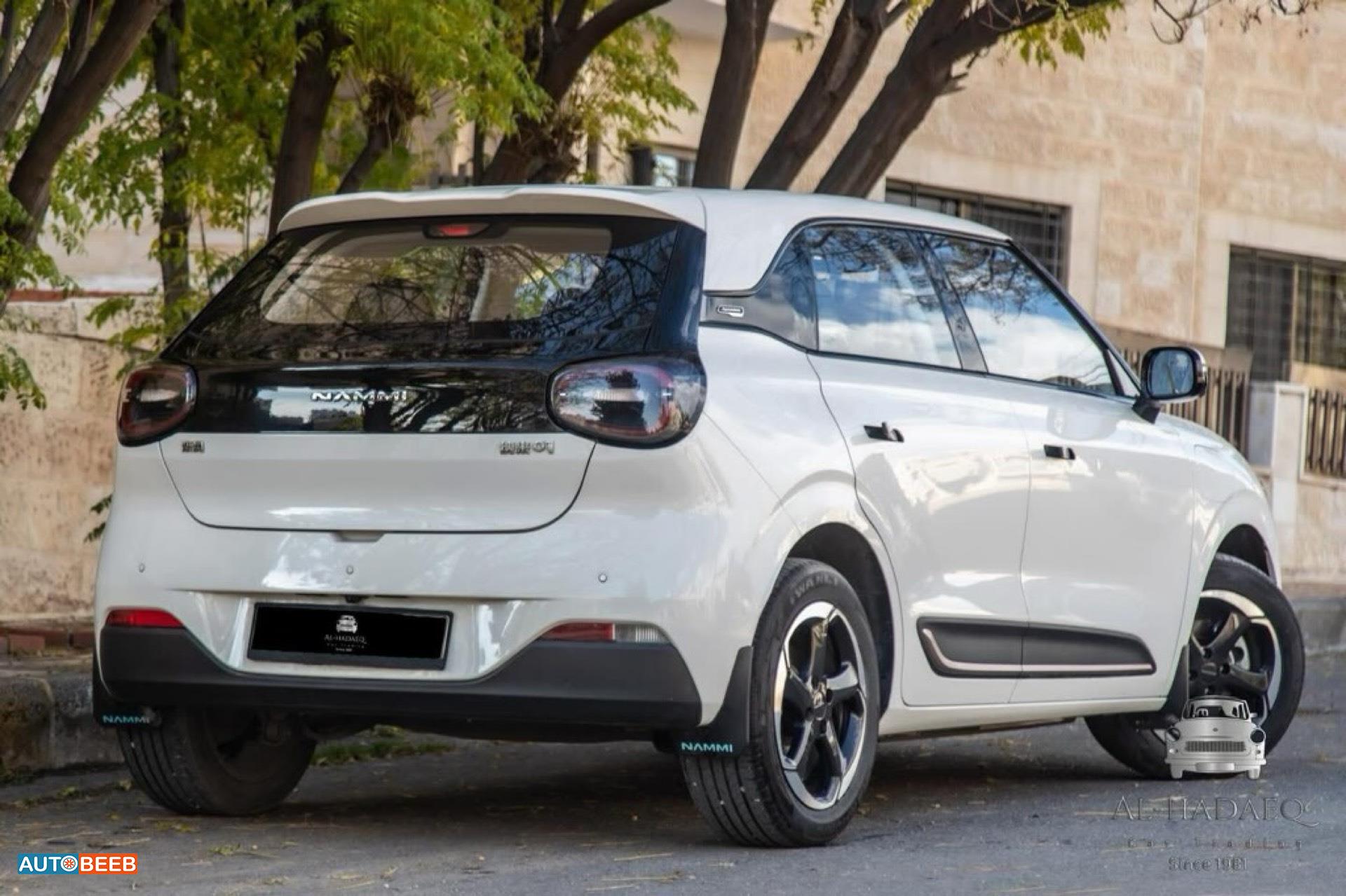 Dongfeng Nammi Box 2023