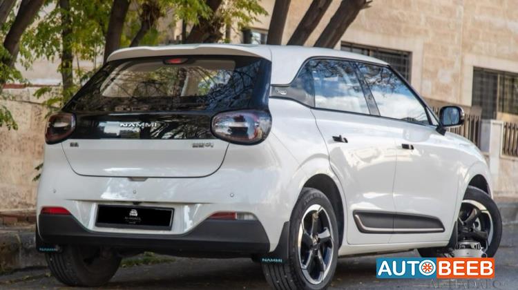 Dongfeng Nammi Box 2023