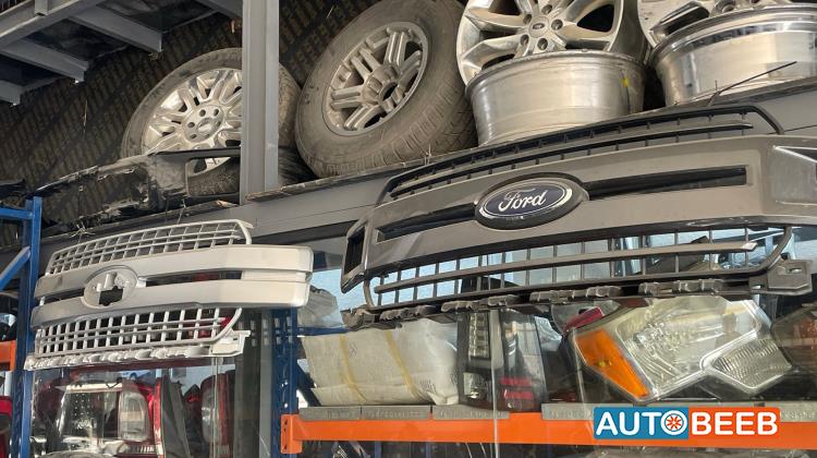 Body  Grilles Ford F-150