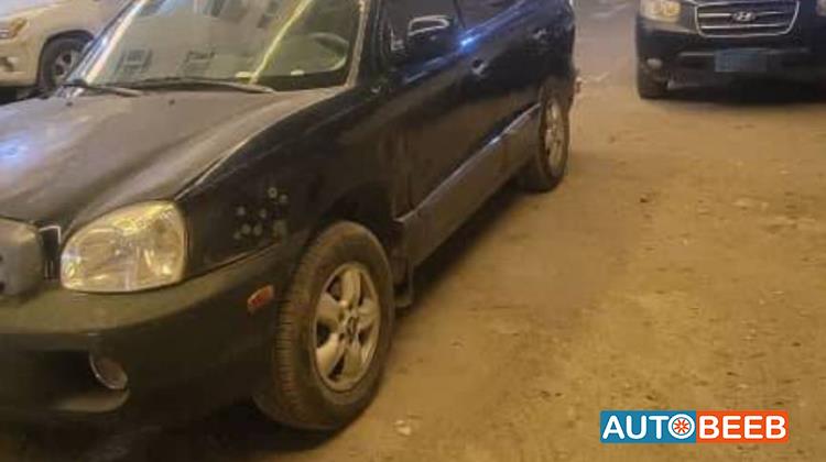 Hyundai Santa Fe 2005