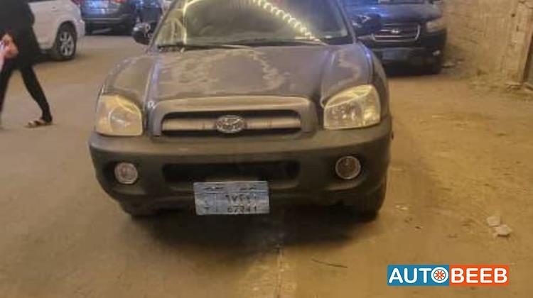 Hyundai Santa Fe 2005