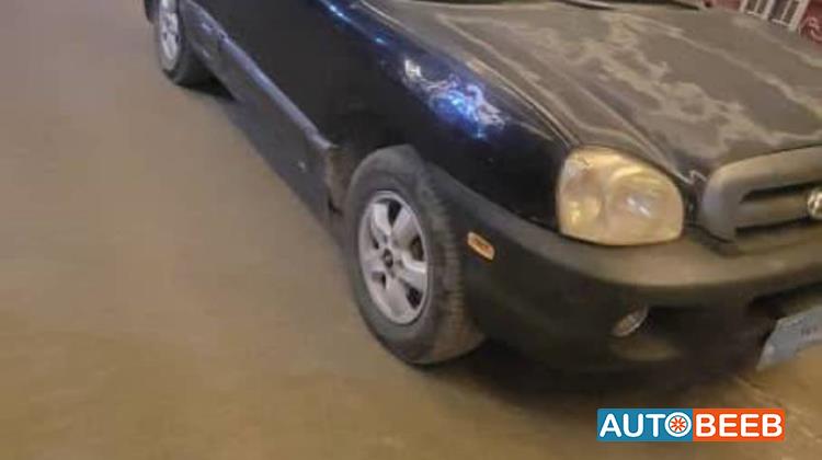 Hyundai Santa Fe 2005
