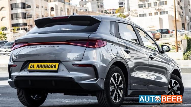 بي واي دي E2 2025