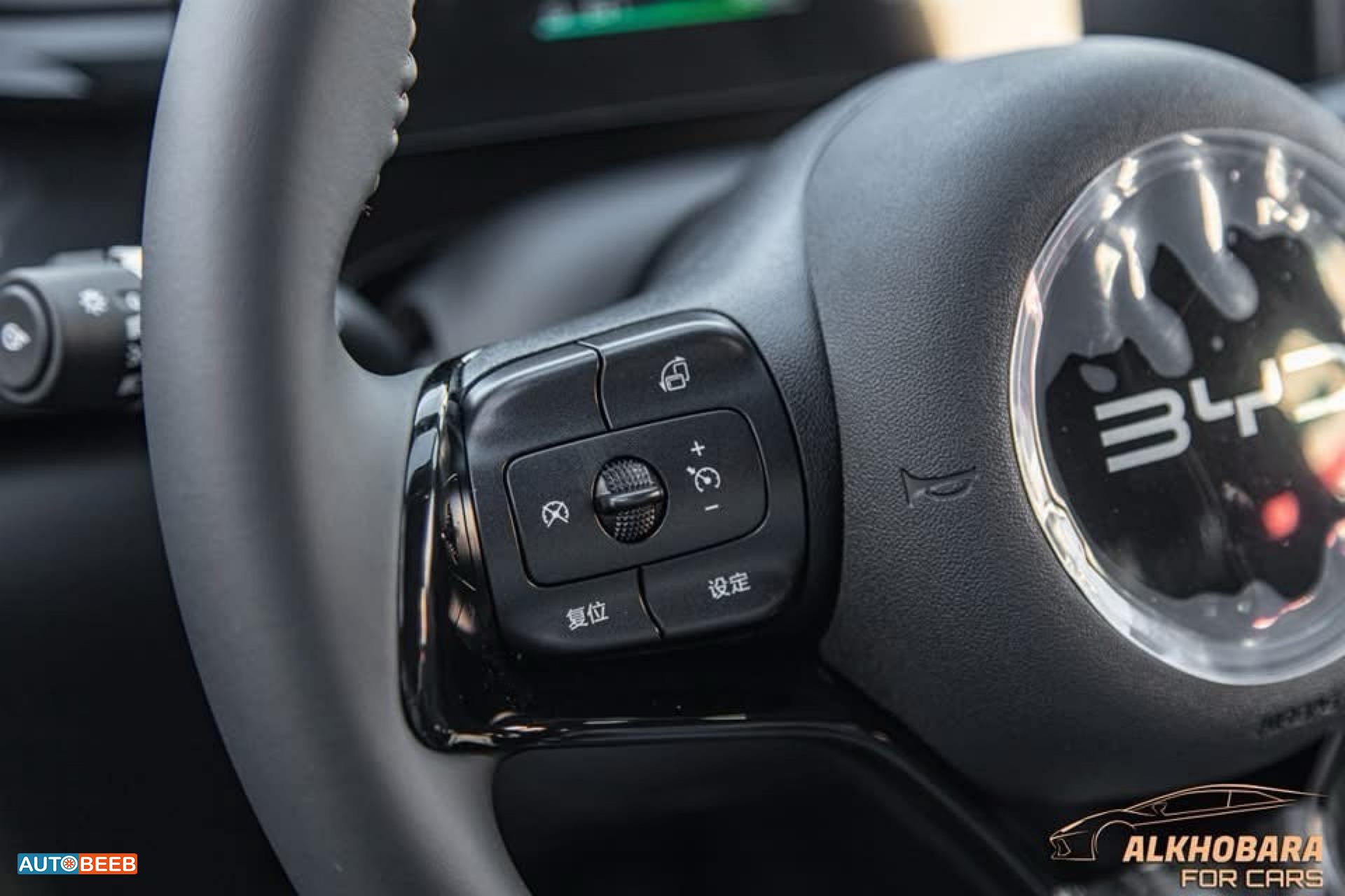 بي واي دي E2 2025