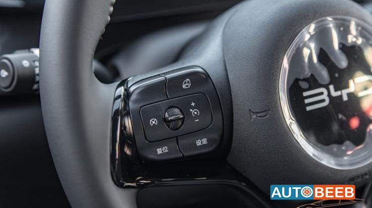 بي واي دي E2 2025