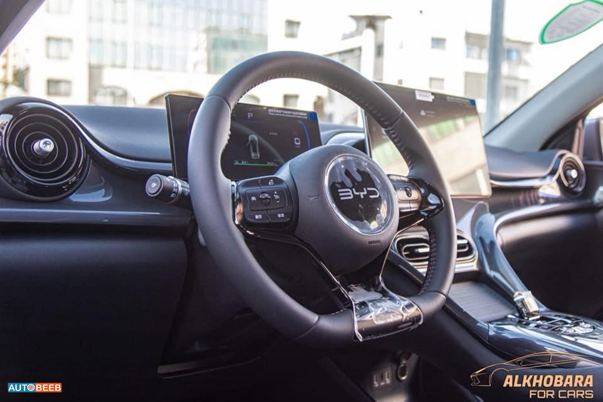 بي واي دي E2 2025