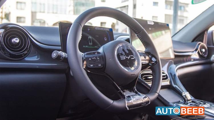 بي واي دي E2 2025