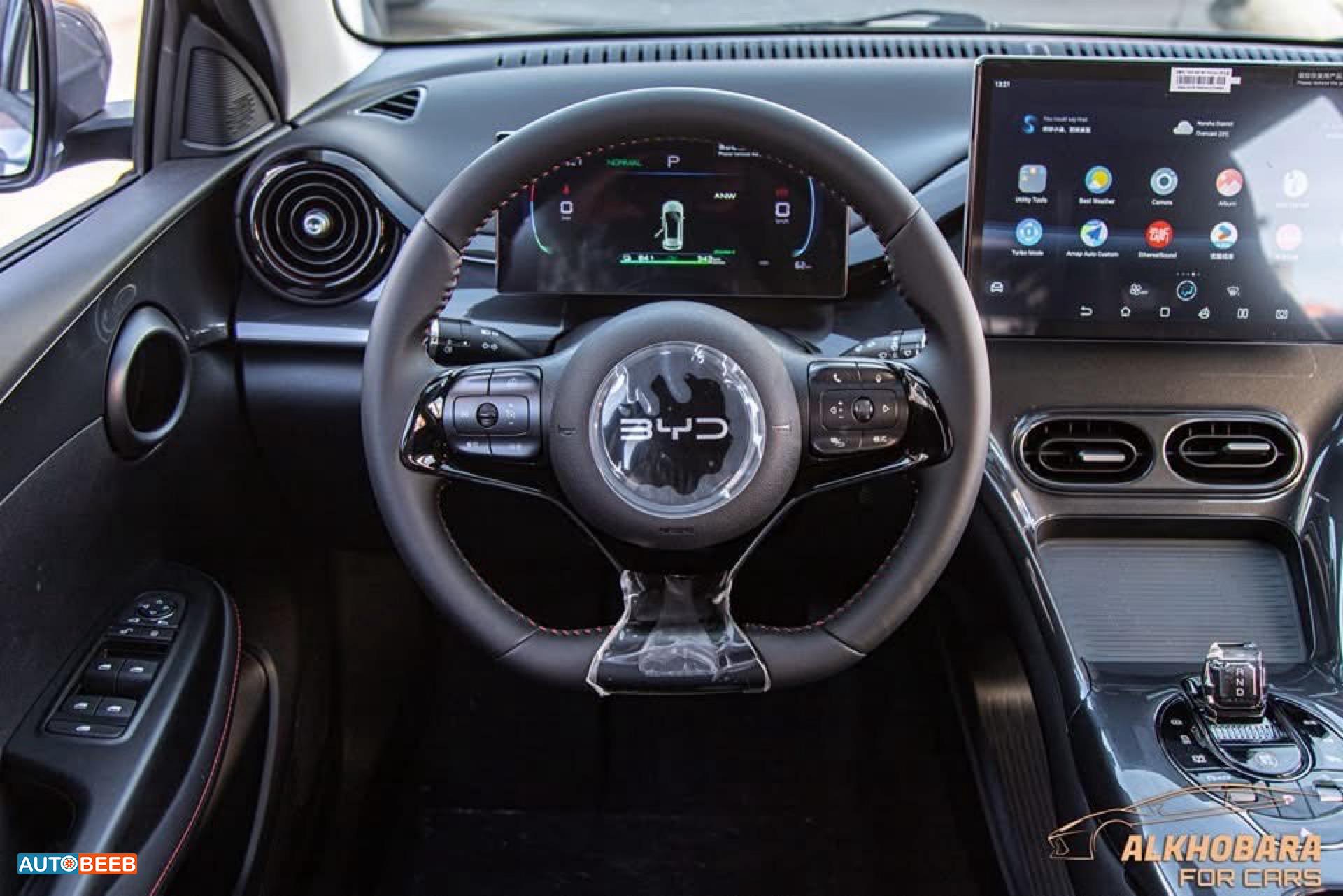 بي واي دي E2 2025