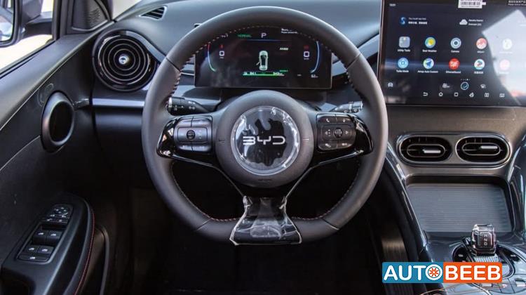 بي واي دي E2 2025