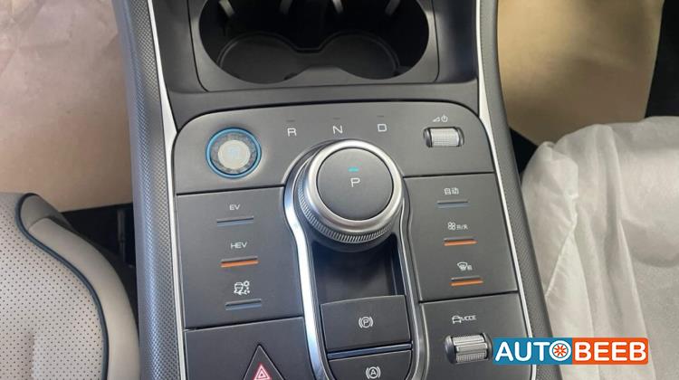 BYD Destroyer 05 2025