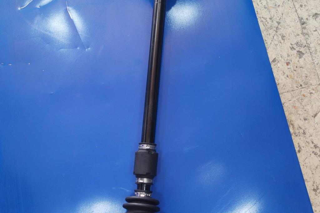  Mechanics  BYD Seagull