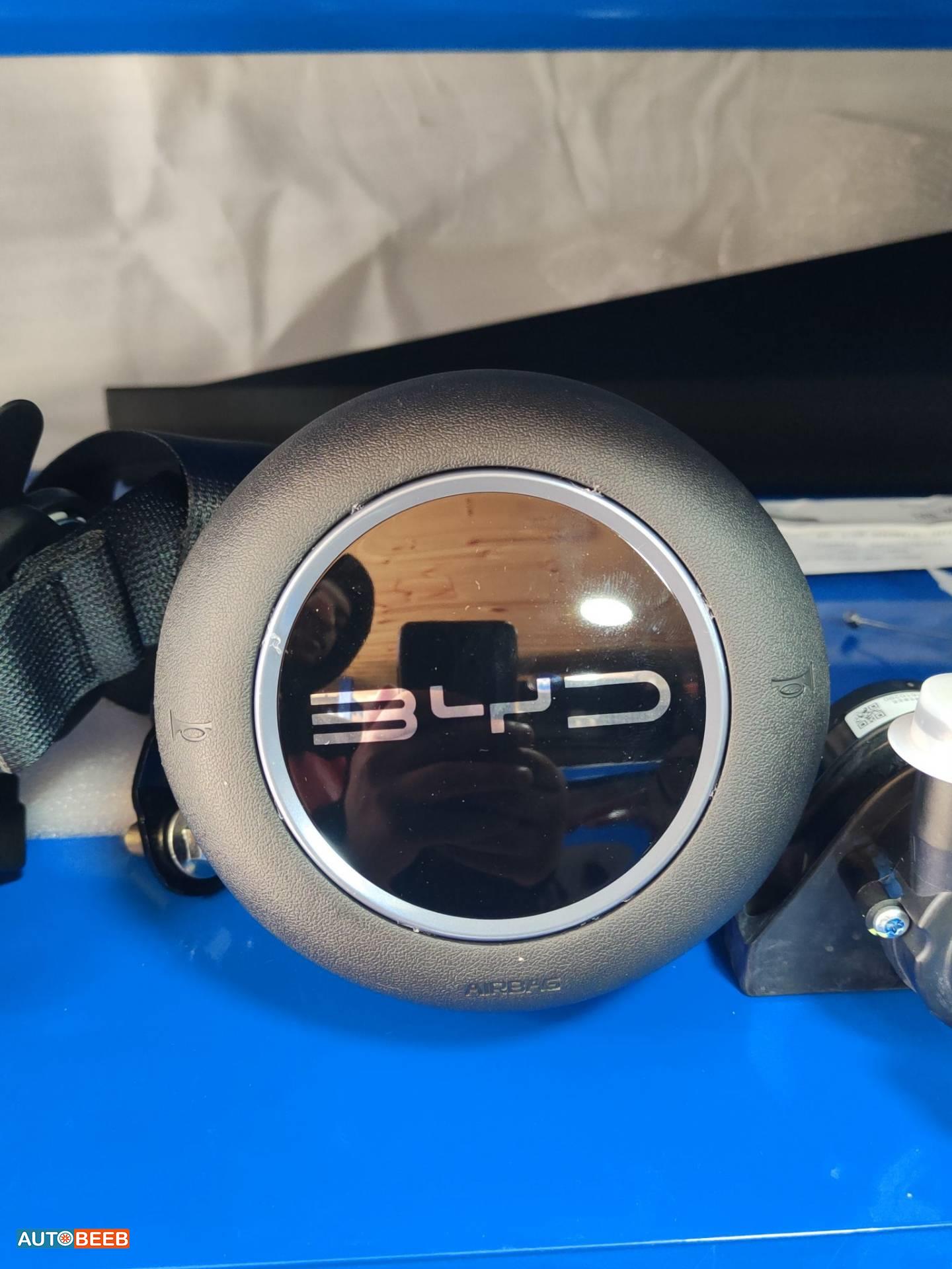 Cabin  Steering Wheel BYD Seagull