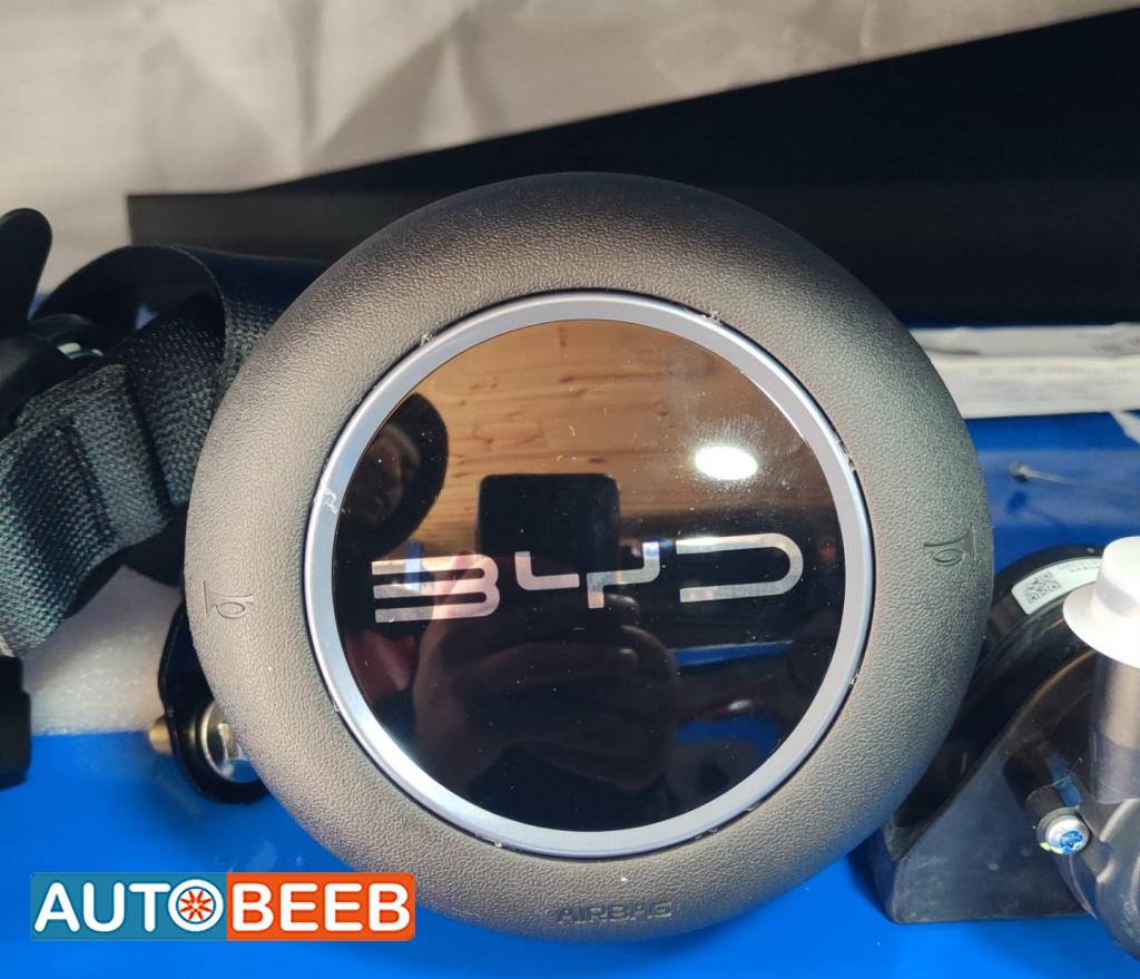 Cabin  Steering Wheel BYD Seagull