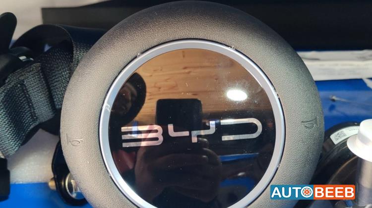 Cabin  Steering Wheel BYD Seagull