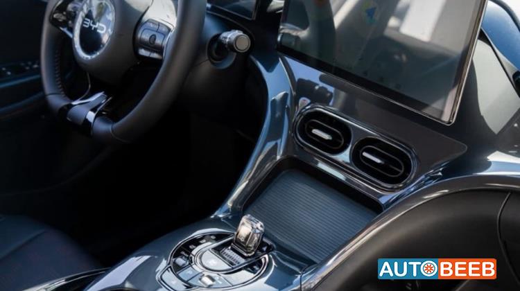 بي واي دي E2 2025