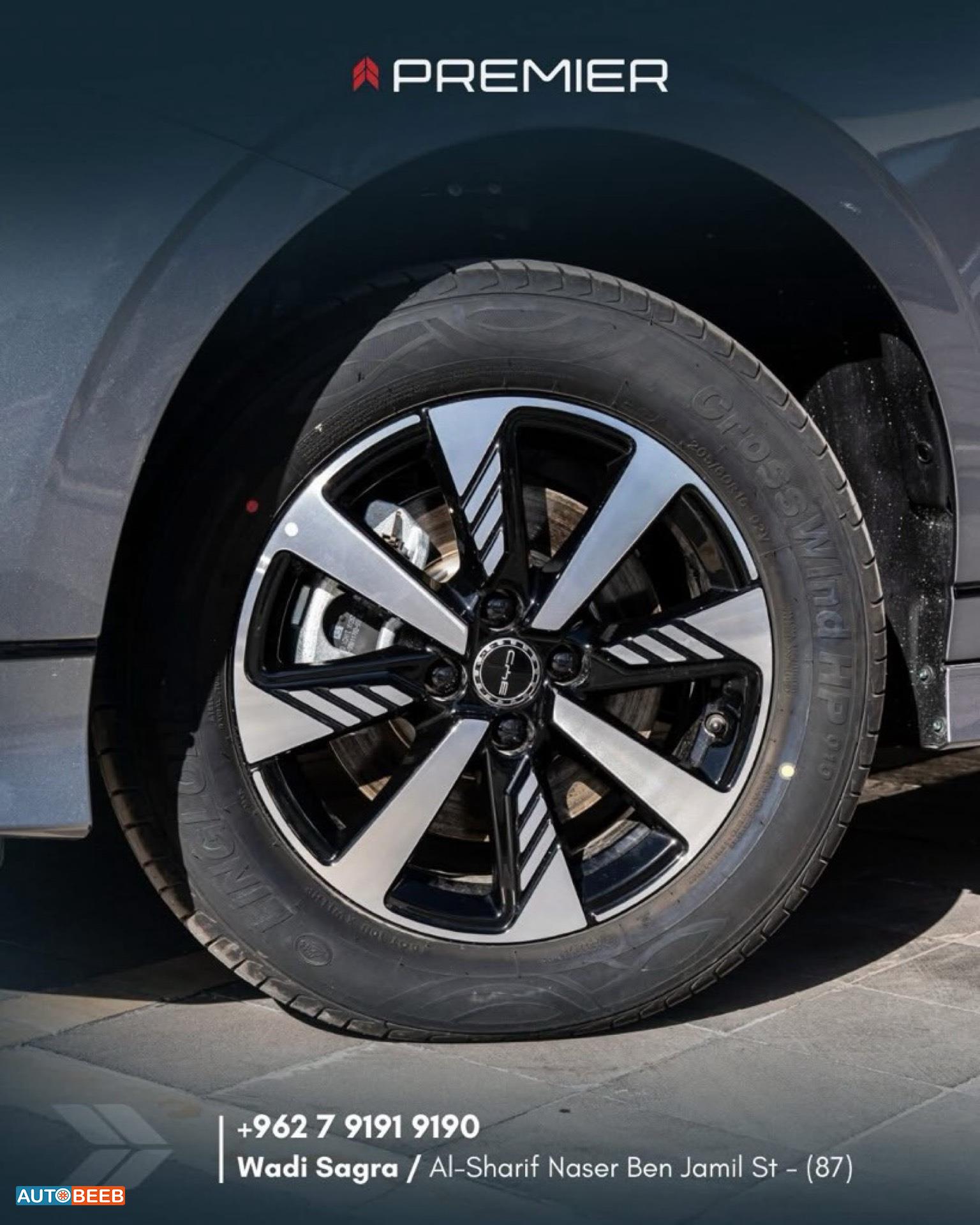 بي واي دي E2 2025