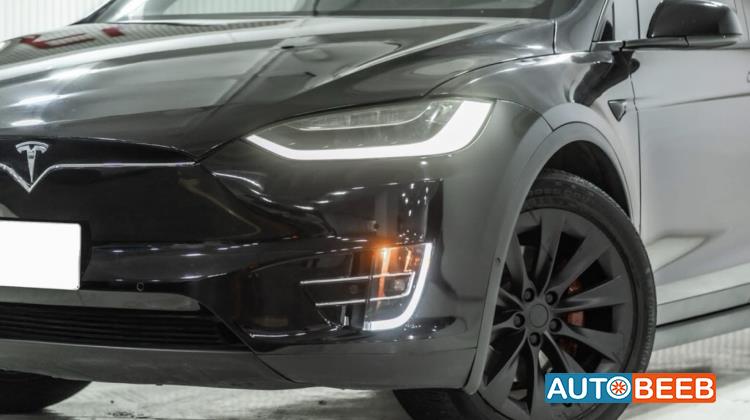 Tesla X 2019