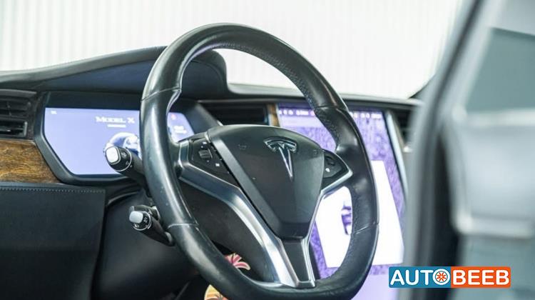 Tesla X 2019
