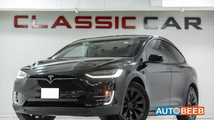 Tesla X 2019