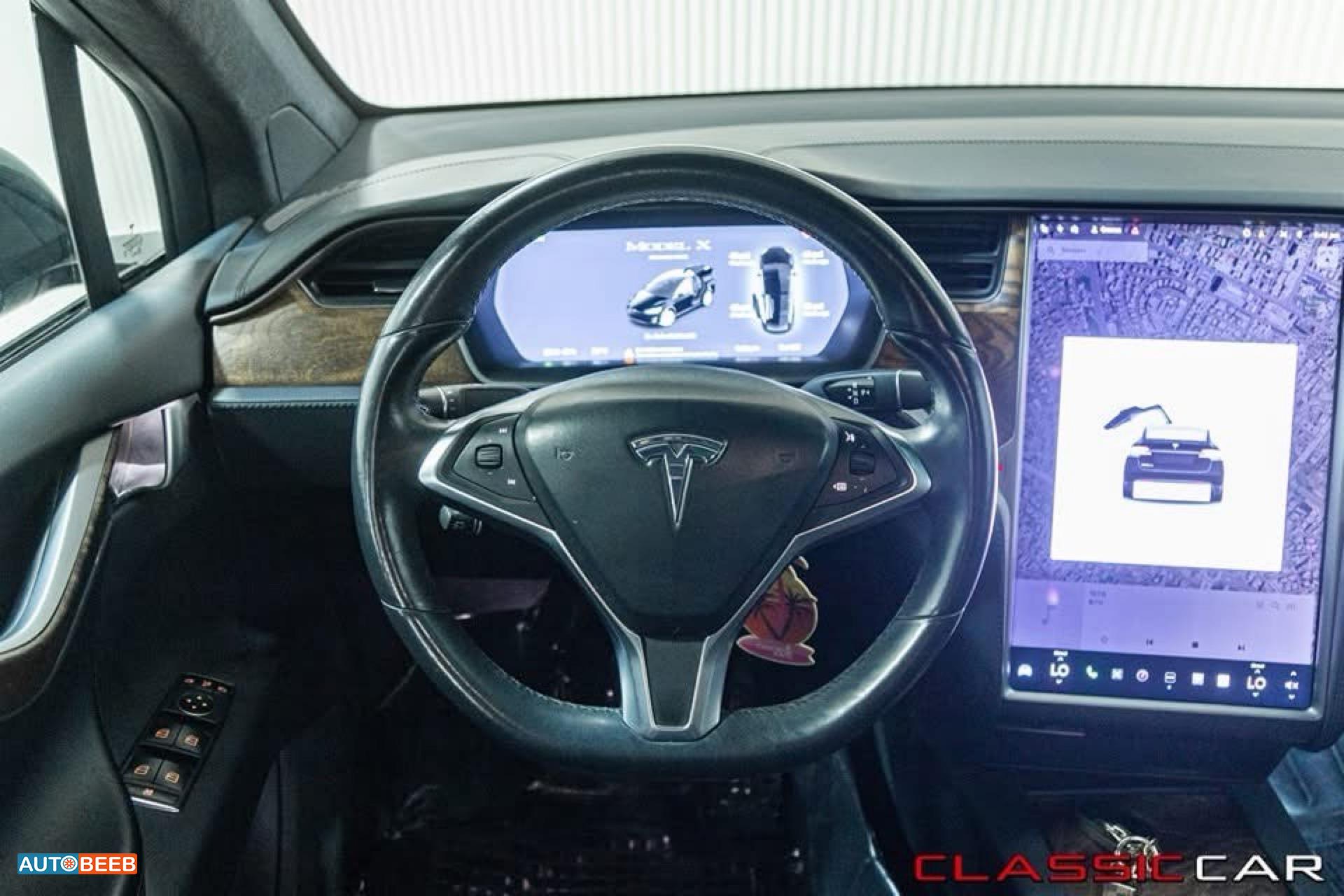 Tesla X 2019