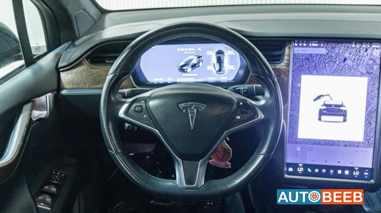 Tesla X 2019