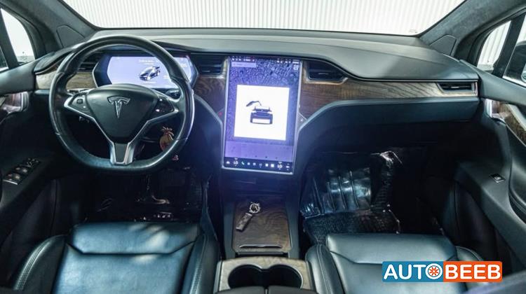 Tesla X 2019